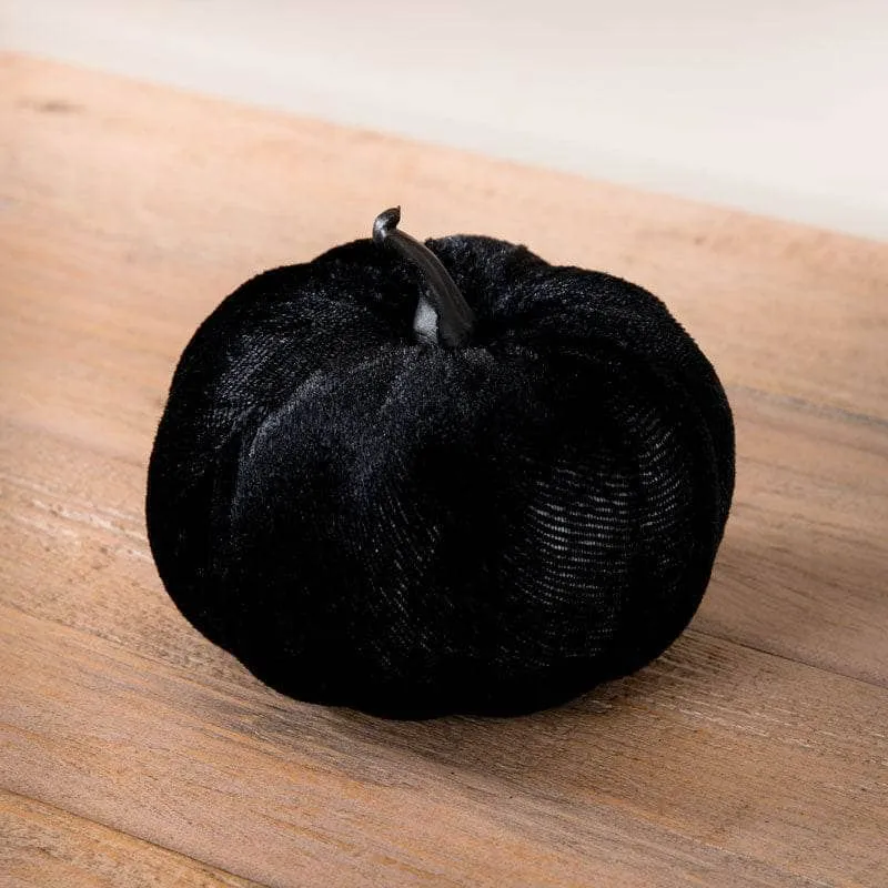 Black Velvet Pumpkin - 8cm