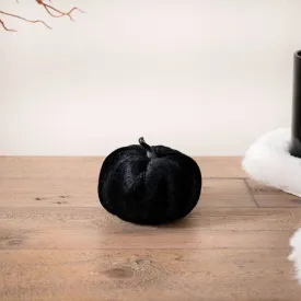 Black Velvet Pumpkin - 8cm