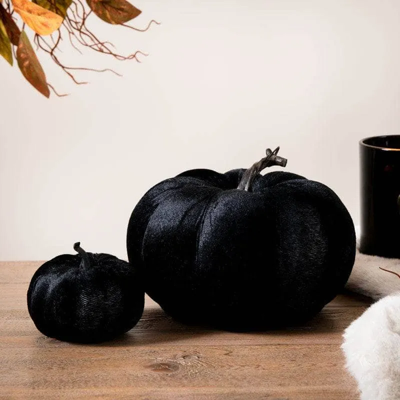 Black Velvet Pumpkin - 8cm