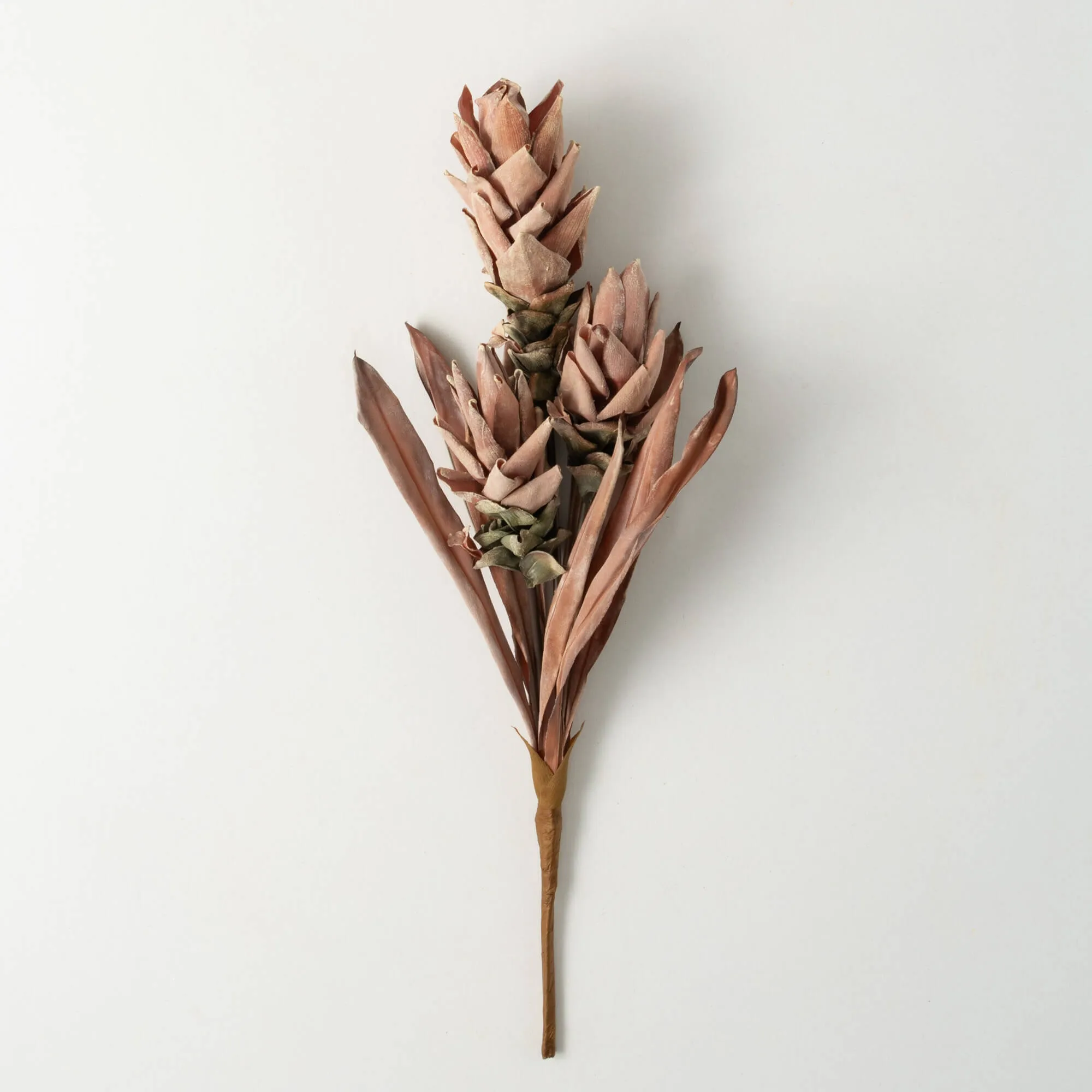 Fall Rust Ginger Spray