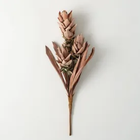 Fall Rust Ginger Spray
