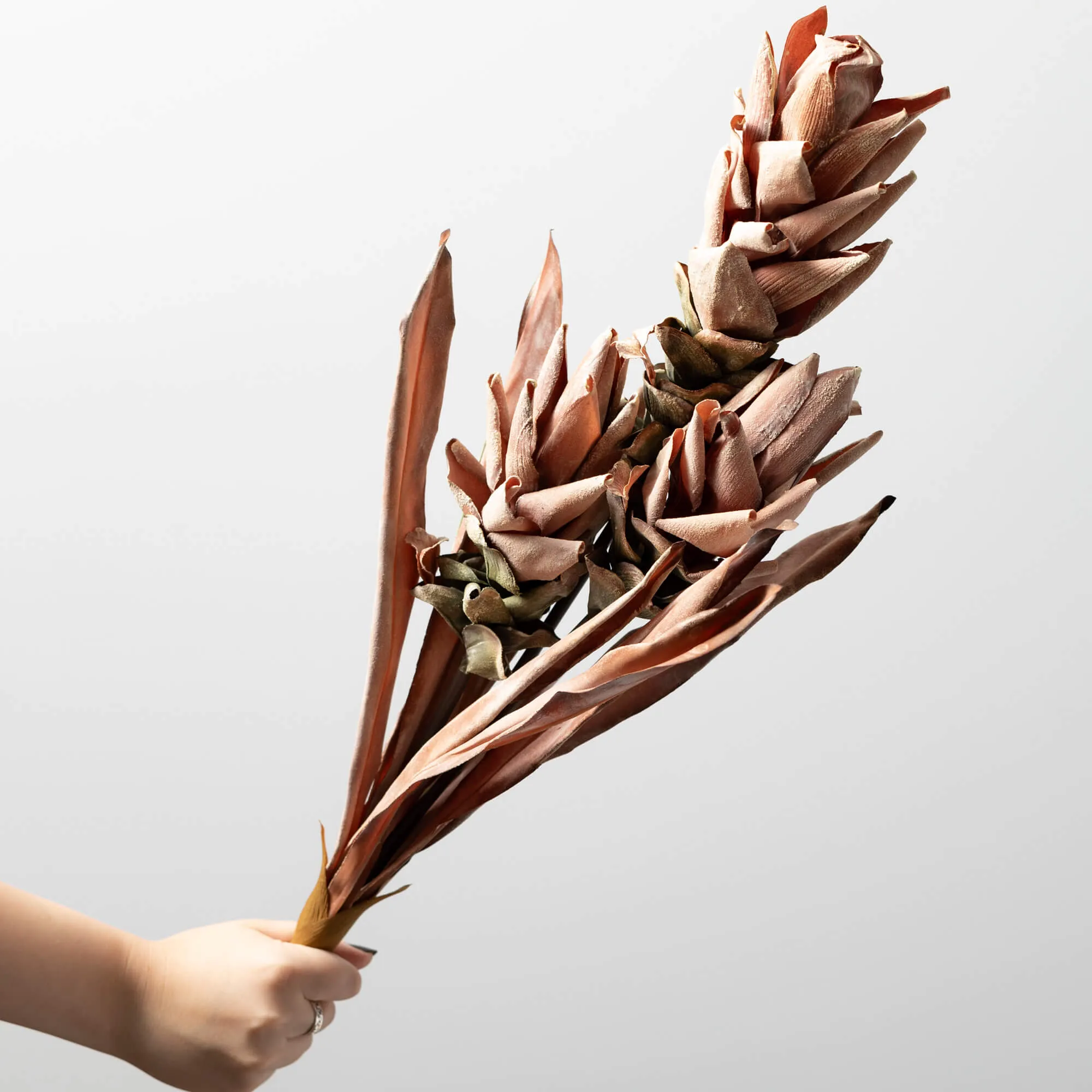 Fall Rust Ginger Spray